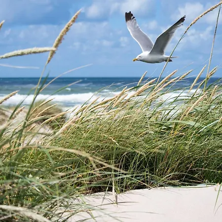 Near Seawall With Parking Appartement *